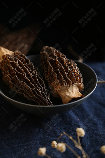 廈門菌寶堂  食用菌菇-羊肚菌產品攝影06.jpg