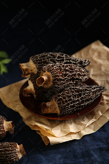 廈門菌寶堂  食用菌菇-羊肚菌產品攝影01.jpg