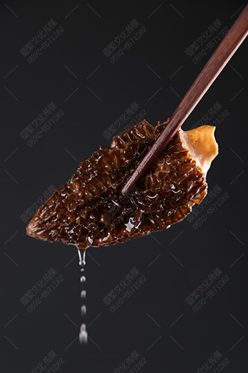 廈門菌寶堂食用菌菇-羊肚菌產品攝影04.jpg